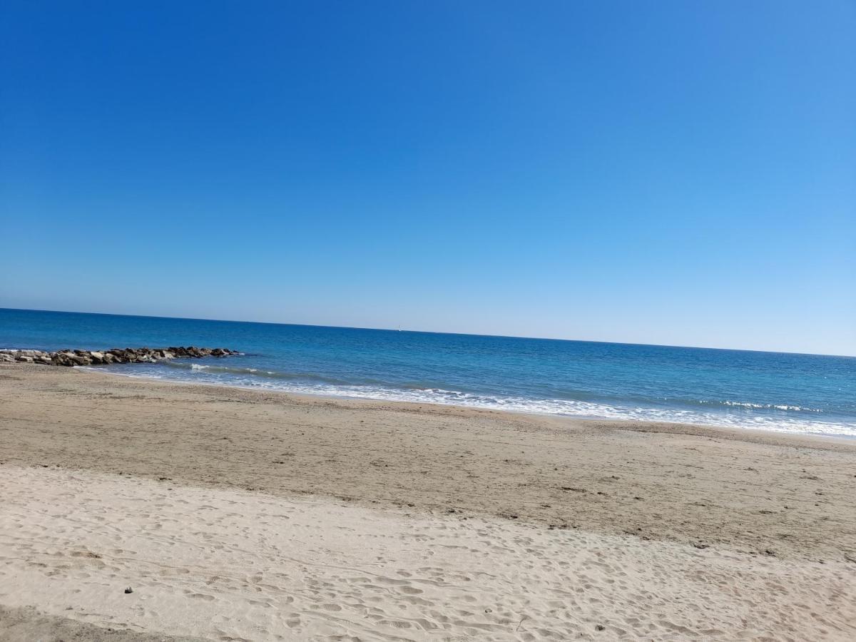 Joli T2 Rdc, Bord De , Piscine , Aresquiers 34
